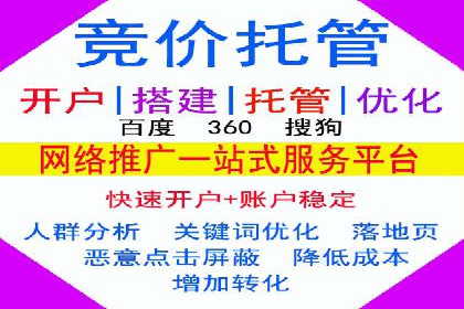SEM托管服务案例：实现精准营销与客户转化
